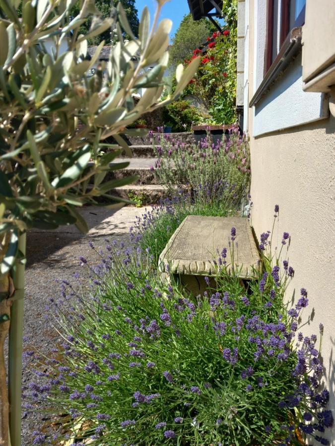 Bossell Cottage Devon 巴克法斯特利 外观 照片